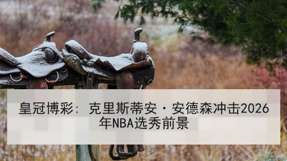 皇冠博彩: 克里斯蒂安·安德森冲击2026年NBA选秀前景